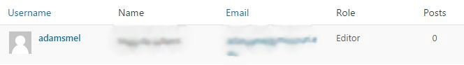 WordPress User details